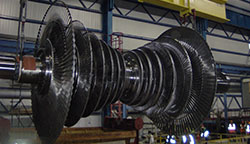 Rotary Equipment